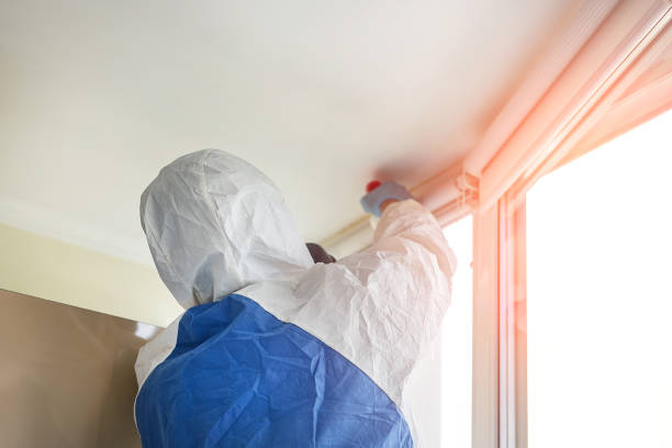 Best Emergency Mold Remediation  in USA