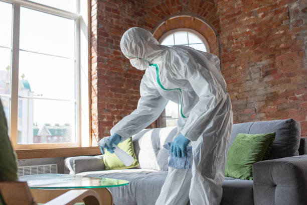 Best Mold Remediation for Healthcare Facilities  in USA